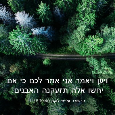 Picture 03 - הבשורה על־פי לוקס 19:40 HEB - ויען ויאמר אני אמר לכם כי - Bible Verse Picture