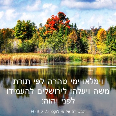 Picture 03 - הבשורה על־פי לוקס 2:22 HEB - וימלאו ימי טהרה לפי תורת - Bible Verse Picture