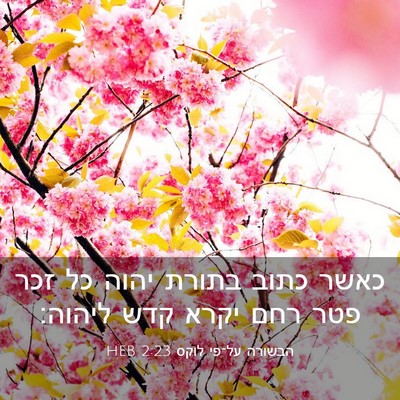 Picture 03 - הבשורה על־פי לוקס 2:23 HEB - כאשר כתוב בתורת יהוה כל זכר - Bible Verse Picture