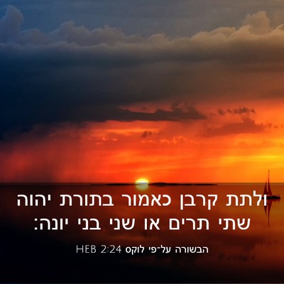 Picture 03 - הבשורה על־פי לוקס 2:24 HEB - ולתת קרבן כאמור בתורת יהוה - Bible Verse Picture