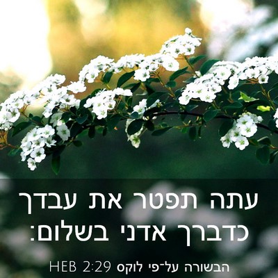 Picture 03 - הבשורה על־פי לוקס 2:29 HEB - עתה תפטר את עבדך כדברך אדני - Bible Verse Picture