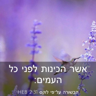 Picture 03 - הבשורה על־פי לוקס 2:31 HEB - אשר הכינות לפני כל - Bible Verse Picture