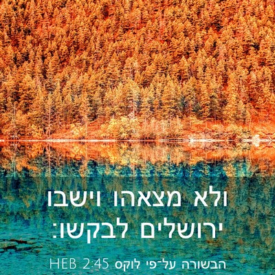 Picture 03 - הבשורה על־פי לוקס 2:45 HEB - ולא מצאהו וישבו ירושלים - Bible Verse Picture