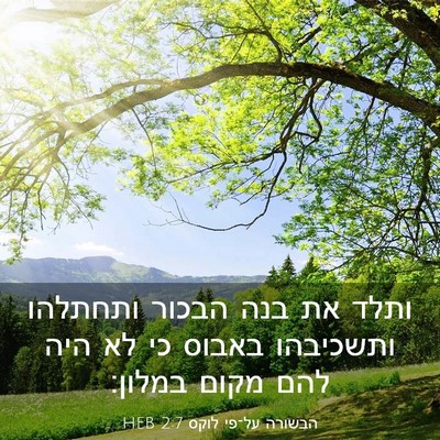 Picture 03 - הבשורה על־פי לוקס 2:7 HEB - ותלד את בנה הבכור ותחתלהו - Bible Verse Picture