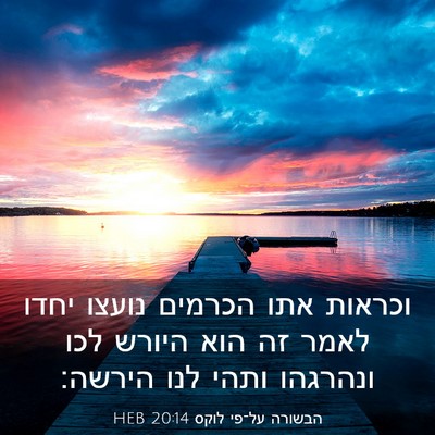 Picture 03 - הבשורה על־פי לוקס 20:14 HEB - וכראות אתו הכרמים נועצו - Bible Verse Picture