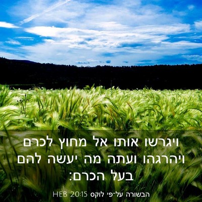 Picture 03 - הבשורה על־פי לוקס 20:15 HEB - ויגרשו אותו אל מחוץ לכרם - Bible Verse Picture