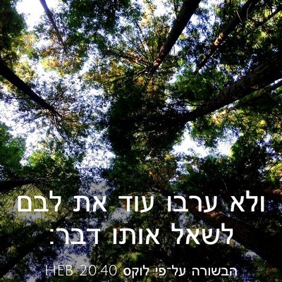Picture 03 - הבשורה על־פי לוקס 20:40 HEB - ולא ערבו עוד את לבם לשאל - Bible Verse Picture