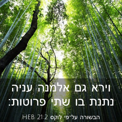 Picture 03 - הבשורה על־פי לוקס 21:2 HEB - וירא גם אלמנה עניה נתנת בו - Bible Verse Picture