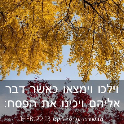 Picture 03 - הבשורה על־פי לוקס 22:13 HEB - וילכו וימצאו כאשר דבר - Bible Verse Picture