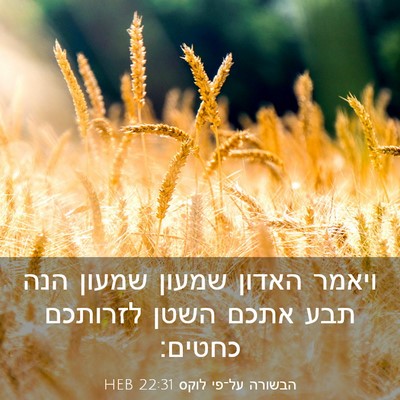 Picture 03 - הבשורה על־פי לוקס 22:31 HEB - ויאמר האדון שמעון שמעון - Bible Verse Picture