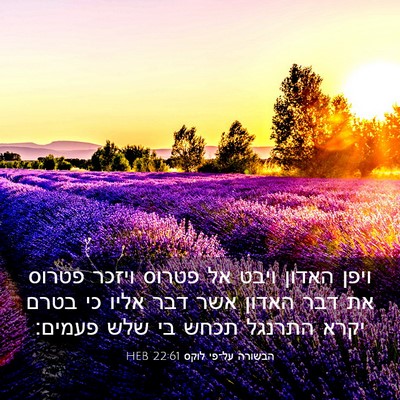 Picture 03 - הבשורה על־פי לוקס 22:61 HEB - ויפן האדון ויבט אל פטרוס - Bible Verse Picture