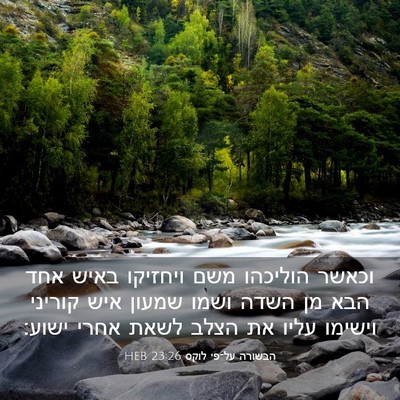 Picture 03 - הבשורה על־פי לוקס 23:26 HEB - וכאשר הוליכהו משם ויחזיקו - Bible Verse Picture