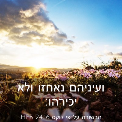 Picture 03 - הבשורה על־פי לוקס 24:16 HEB - ועיניהם נאחזו ולא - Bible Verse Picture