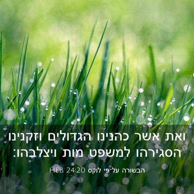 Picture 03 - הבשורה על־פי לוקס 24:20 HEB - ואת אשר כהנינו הגדולים - Bible Verse Picture