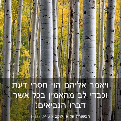 Picture 03 - הבשורה על־פי לוקס 24:25 HEB - ויאמר אליהם הוי חסרי דעת - Bible Verse Picture