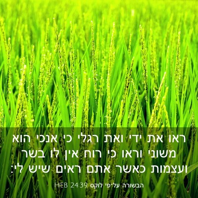Picture 03 - הבשורה על־פי לוקס 24:39 HEB - ראו את ידי ואת רגלי כי אנכי - Bible Verse Picture