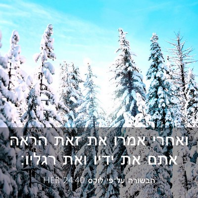 Picture 03 - הבשורה על־פי לוקס 24:40 HEB - ואחרי אמרו את זאת הראה אתם - Bible Verse Picture