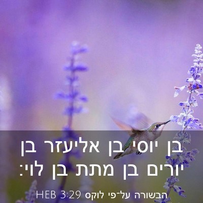 Picture 03 - הבשורה על־פי לוקס 3:29 HEB - בן יוסי בן אליעזר בן יורים - Bible Verse Picture