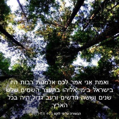 Picture 03 - הבשורה על־פי לוקס 4:25 HEB - ואמת אני אמר לכם אלמנות - Bible Verse Picture