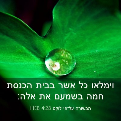 Picture 03 - הבשורה על־פי לוקס 4:28 HEB - וימלאו כל אשר בבית הכנסת - Bible Verse Picture
