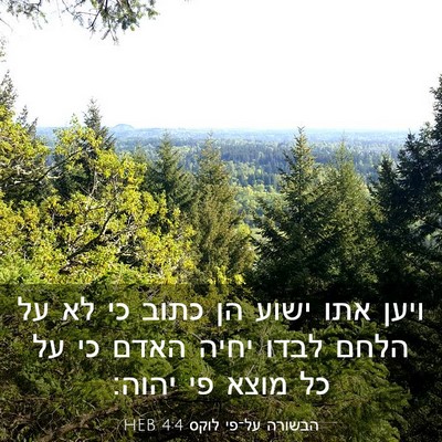 Picture 03 - הבשורה על־פי לוקס 4:4 HEB - ויען אתו ישוע הן כתוב כי לא - Bible Verse Picture