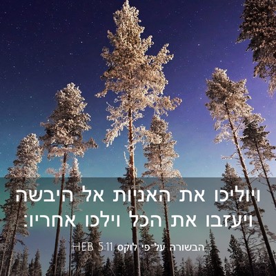 Picture 03 - הבשורה על־פי לוקס 5:11 HEB - ויוליכו את האניות אל היבשה - Bible Verse Picture