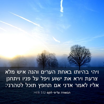 Picture 03 - הבשורה על־פי לוקס 5:12 HEB - ויהי בהיותו באחת הערים - Bible Verse Picture