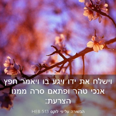 Picture 03 - הבשורה על־פי לוקס 5:13 HEB - וישלח את ידו ויגע בו ויאמר - Bible Verse Picture