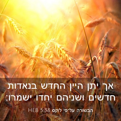 Picture 03 - הבשורה על־פי לוקס 5:38 HEB - אך יתן היין החדש בנאדות - Bible Verse Picture