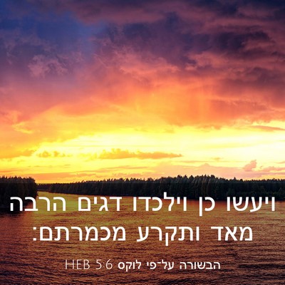 Picture 03 - הבשורה על־פי לוקס 5:6 HEB - ויעשו כן וילכדו דגים הרבה - Bible Verse Picture