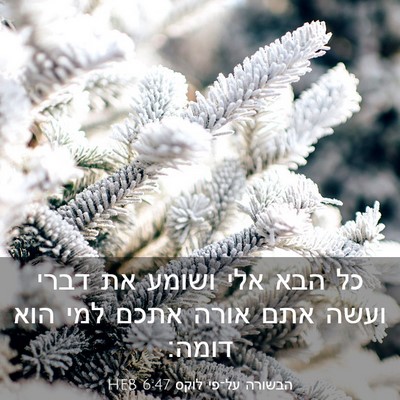 Picture 03 - הבשורה על־פי לוקס 6:47 HEB - כל הבא אלי ושומע את דברי - Bible Verse Picture