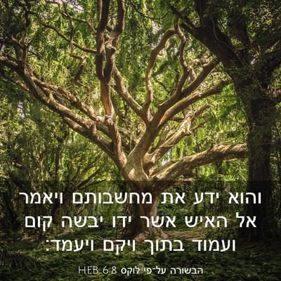 Picture 03 - הבשורה על־פי לוקס 6:8 HEB - והוא ידע את מחשבותם ויאמר - Bible Verse Picture