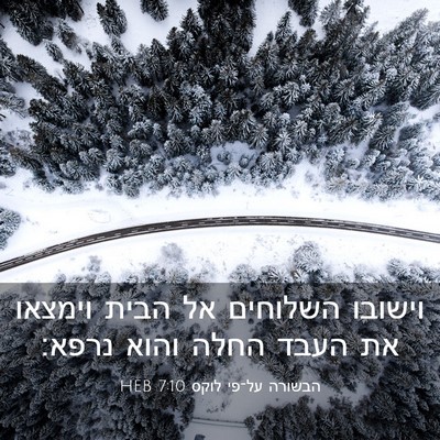 Picture 03 - הבשורה על־פי לוקס 7:10 HEB - וישובו השלוחים אל הבית - Bible Verse Picture