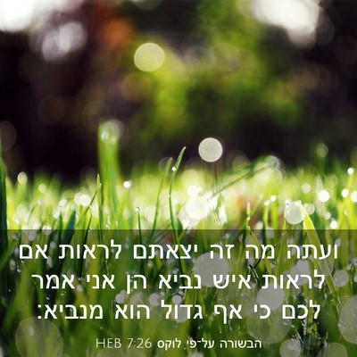 Picture 03 - הבשורה על־פי לוקס 7:26 HEB - ועתה מה זה יצאתם לראות אם - Bible Verse Picture