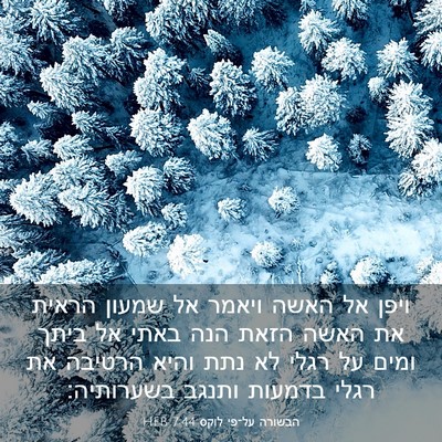 Picture 03 - הבשורה על־פי לוקס 7:44 HEB - ויפן אל האשה ויאמר אל שמעון - Bible Verse Picture