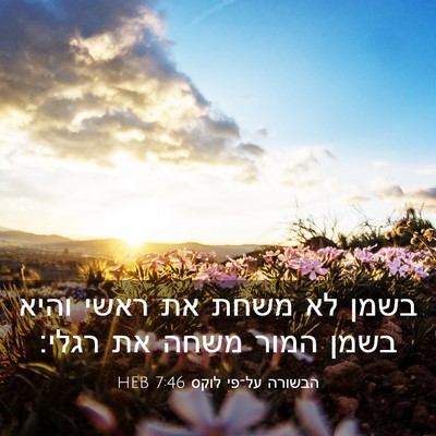 Picture 03 - הבשורה על־פי לוקס 7:46 HEB - בשמן לא משחת את ראשי והיא - Bible Verse Picture
