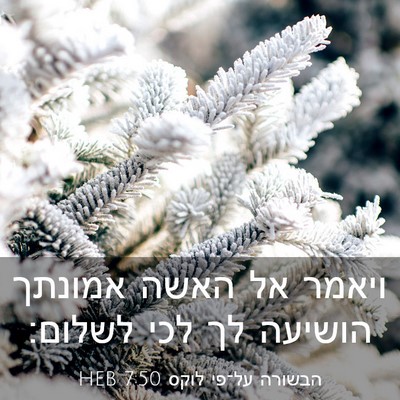 Picture 03 - הבשורה על־פי לוקס 7:50 HEB - ויאמר אל האשה אמונתך - Bible Verse Picture