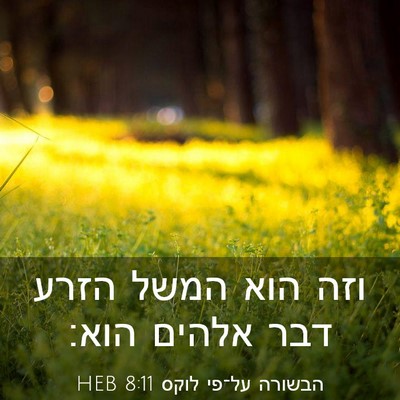 Picture 03 - הבשורה על־פי לוקס 8:11 HEB - וזה הוא המשל הזרע דבר אלהים - Bible Verse Picture