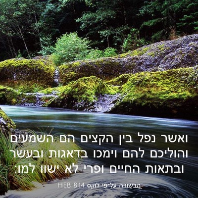 Picture 03 - הבשורה על־פי לוקס 8:14 HEB - ואשר נפל בין הקצים הם - Bible Verse Picture