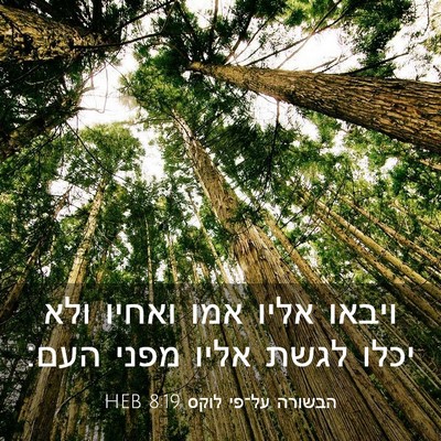 Picture 03 - הבשורה על־פי לוקס 8:19 HEB - ויבאו אליו אמו ואחיו ולא - Bible Verse Picture