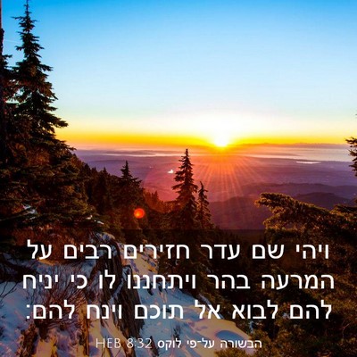 Picture 03 - הבשורה על־פי לוקס 8:32 HEB - ויהי שם עדר חזירים רבים על - Bible Verse Picture