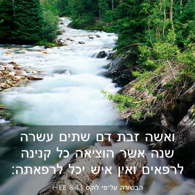 Picture 03 - הבשורה על־פי לוקס 8:43 HEB - ואשה זבת דם שתים עשרה שנה - Bible Verse Picture