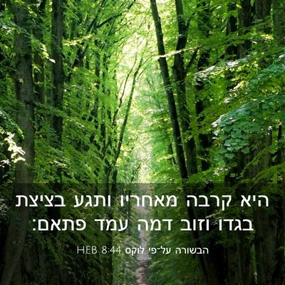 Picture 03 - הבשורה על־פי לוקס 8:44 HEB - היא קרבה מאחריו ותגע בציצת - Bible Verse Picture