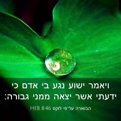 Picture 03 - הבשורה על־פי לוקס 8:46 HEB - ויאמר ישוע נגע בי אדם כי - Bible Verse Picture