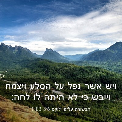 Picture 03 - הבשורה על־פי לוקס 8:6 HEB - ויש אשר נפל על הסלע ויצמח - Bible Verse Picture