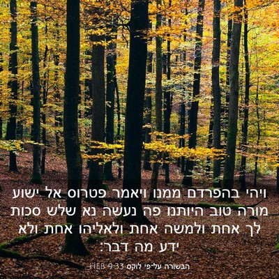 Picture 03 - הבשורה על־פי לוקס 9:33 HEB - ויהי בהפרדם ממנו ויאמר - Bible Verse Picture