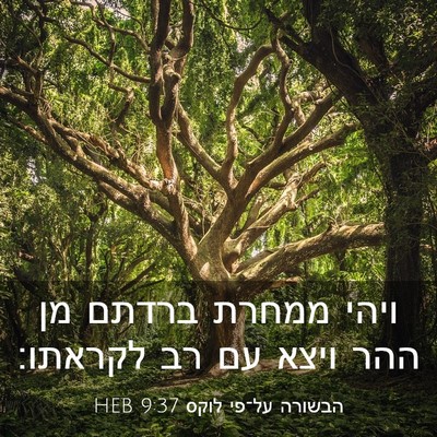 Picture 03 - הבשורה על־פי לוקס 9:37 HEB - ויהי ממחרת ברדתם מן ההר - Bible Verse Picture