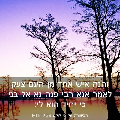 Picture 03 - הבשורה על־פי לוקס 9:38 HEB - והנה איש אחד מן העם צעק - Bible Verse Picture