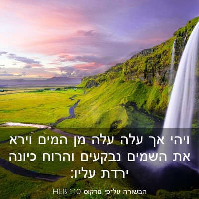 Picture 03 - הבשורה על־פי מרקוס 1:10 HEB - ויהי אך עלה עלה מן המים - Bible Verse Picture