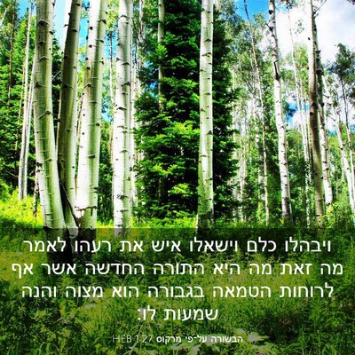 Picture 03 - הבשורה על־פי מרקוס 1:27 HEB - ויבהלו כלם וישאלו איש את - Bible Verse Picture